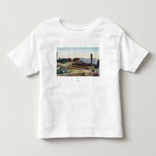 Aerial View of Anaconda & Neversweat Mines Toddler T-Shirt