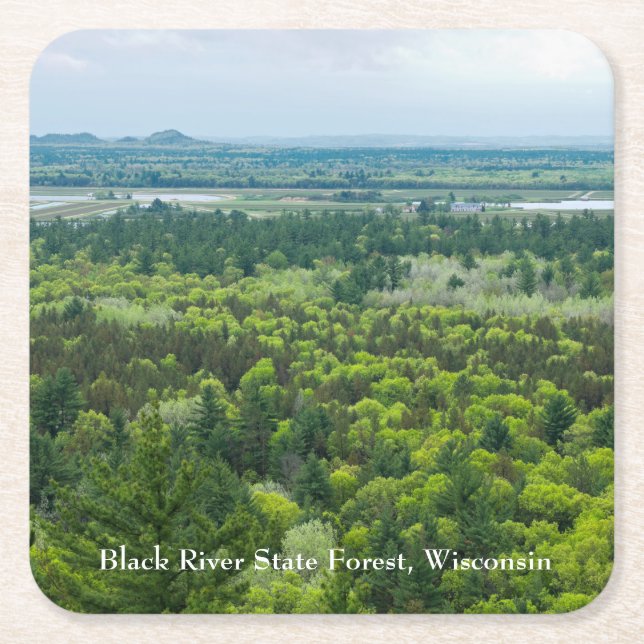 Aerial View of Black River State Forest Square Paper Coaster (Front)