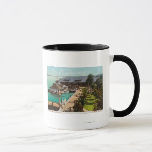 Aerial View of Boat House, Lake, Leshi Park Mug