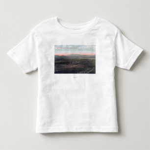 Aerial View of Boston Ranch in San Diego County Toddler T-Shirt