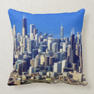 Aerial view of Chicago Downtown with Lake Cushion