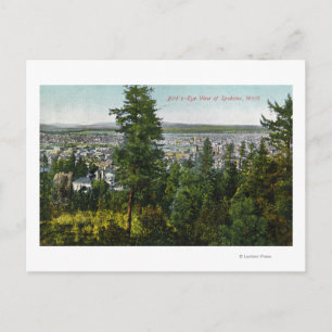Aerial View of City through the Woods Postcard
