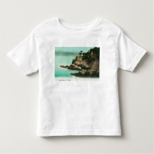 Aerial View of Eagle Dome at Point Lobos Toddler T-Shirt