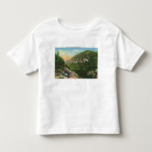 Aerial View of Fish Creek Grounds, Saranac Inn Toddler T-Shirt (Front)