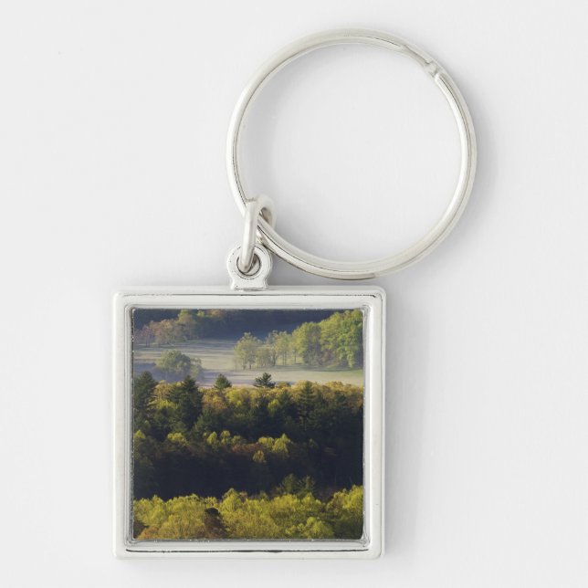 Aerial view of forest in Cades Cove, Great Smoky Key Ring (Front)