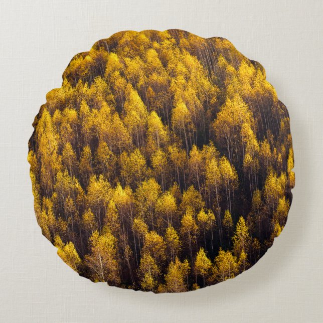 AERIAL VIEW OF FOREST ROUND CUSHION (Front)
