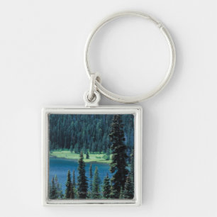 Aerial view of Grand Teton National Park , Key Ring