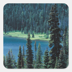 Aerial view of Grand Teton National Park , Square Sticker