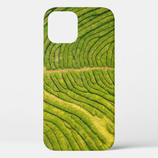 Aerial view of green open field iPhone 12 case
