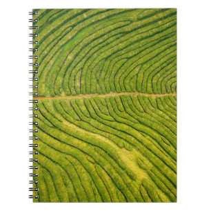 Aerial view of green open field notebook