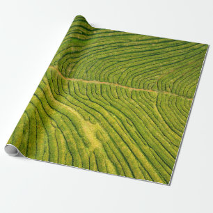 Aerial view of green open field wrapping paper