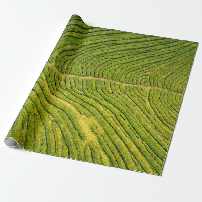 Aerial view of green open field wrapping paper (Unrolled)