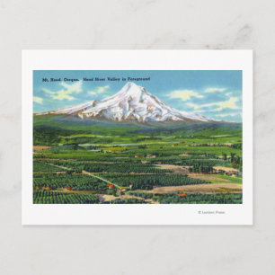 Aerial View of Hood River Valley and Mountain Postcard