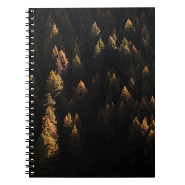 Aerial view of pine trees notebook (Front)