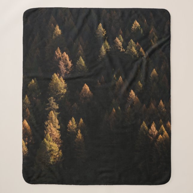 Aerial view of pine trees sherpa blanket (Front)