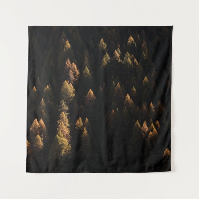 Aerial view of pine trees tapestry (Front)