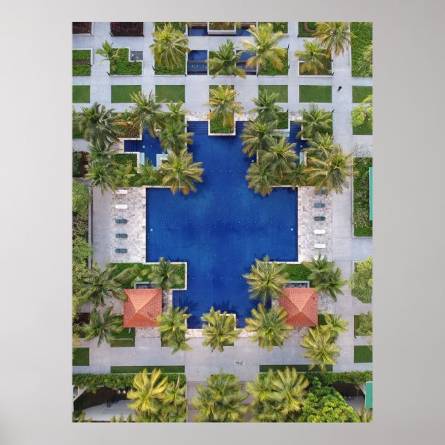 Aerial view of pool surrounded by palm trees poster (Front)