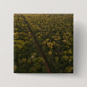 Aerial View of rainforest. Iwokrama Reserve, 2 15 Cm Square Badge