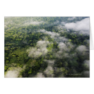 Aerial View of Rainforest, Panama