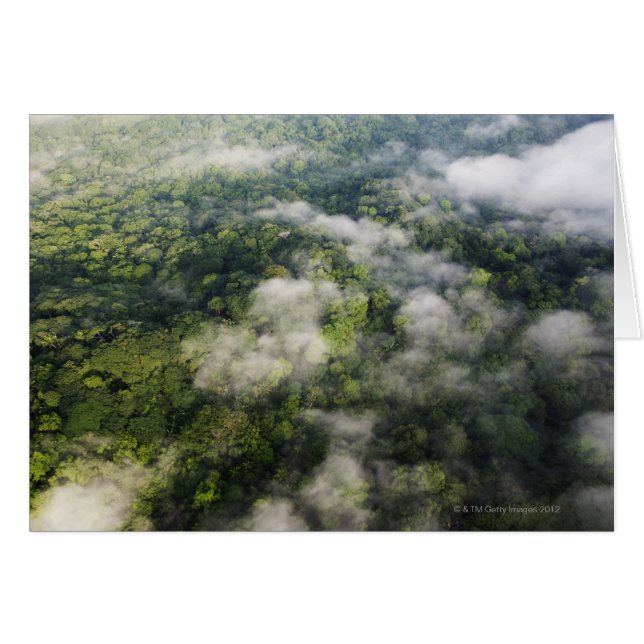 Aerial View of Rainforest, Panama (Front Horizontal)