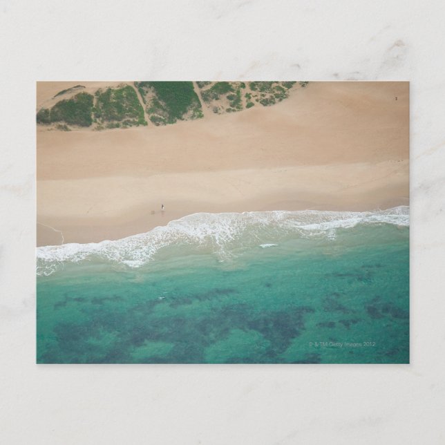 Aerial view of Sea view Beach, Port Elizabeth, Postcard (Front)