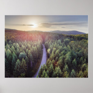 Aerial view of sunset above pine forest poster