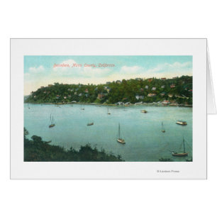 Aerial View of the BayBelvedere, CA