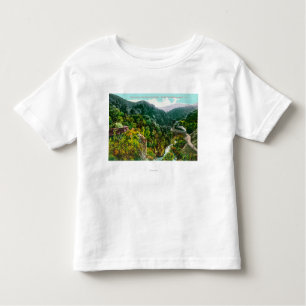 Aerial View of the Canyon, Southern Pacific Trai Toddler T-Shirt