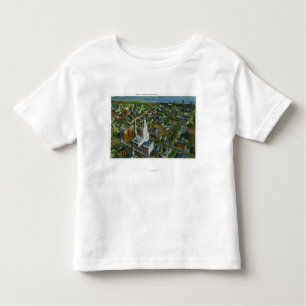 Aerial View of the City 2 Toddler T-Shirt