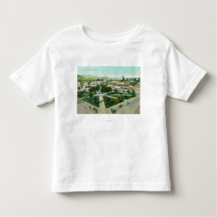Aerial View of the City PlazaHealdsburg, CA Toddler T-Shirt