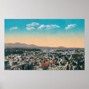 Aerial View of the CityCoeur d'Alene, ID Poster