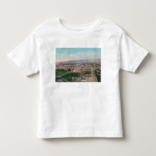 Aerial View of the CityPocatello, ID Toddler T-Shirt (Front)