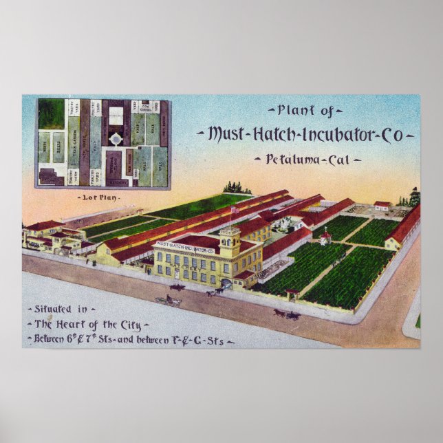 Aerial View of the Must-Hatch Incubator Co Bldg Poster (Front)