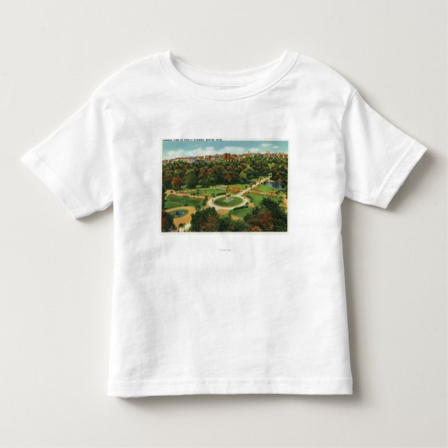 Aerial View of the Public Gardens # 2 Toddler T-Shirt (Front)