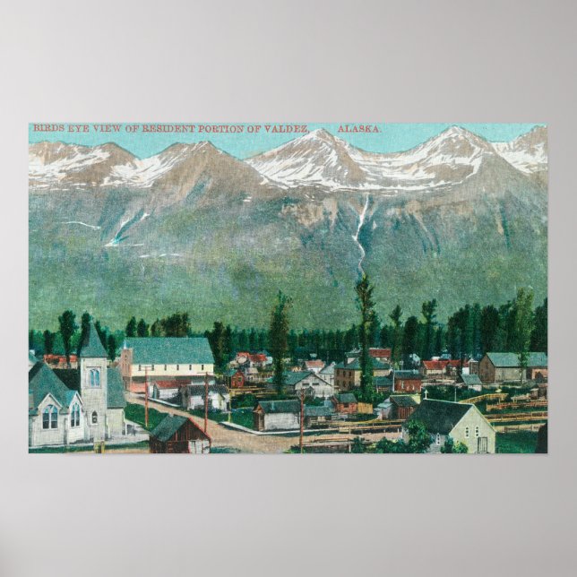 Aerial View of the Resident Area of the City Poster (Front)