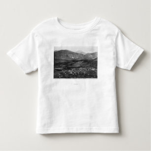 Aerial View of the Town 7 Toddler T-Shirt