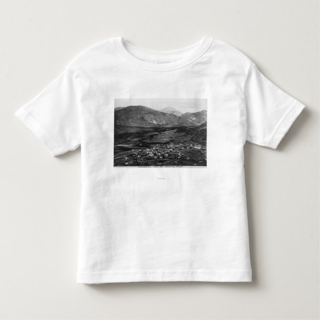 Aerial View of the Town 7 Toddler T-Shirt (Front)