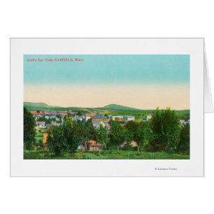 Aerial View of the Town 9