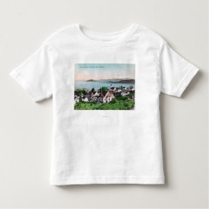 Aerial View of the Town and Lake Ewauna Toddler T-Shirt