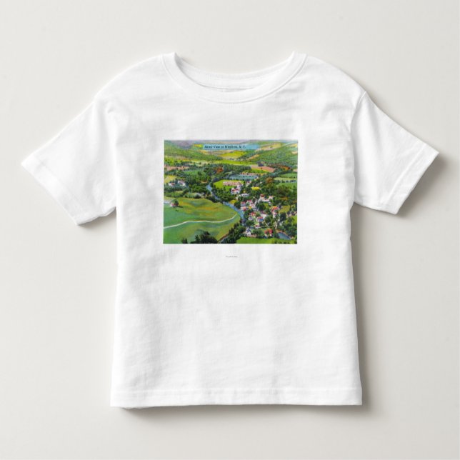 Aerial View of the Town Toddler T-Shirt (Front)