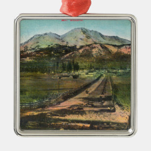 Aerial View of the Valley and Mt. Shasta Metal Tree Decoration