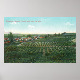 Aerial View of Town, Sonoma County from the Hill Poster