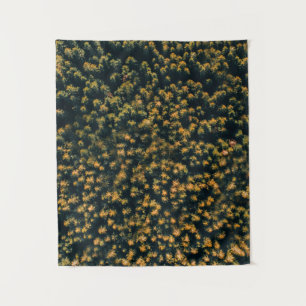 Aerial view of trees tapestry