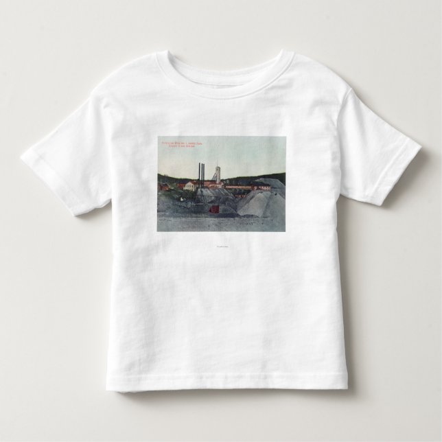 Aerial View of Vindicator Mine No. 1Victor, CO Toddler T-Shirt (Front)