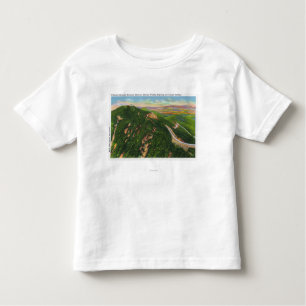 Aerial View of Winding Hwy and Summit Bldg Toddler T-Shirt