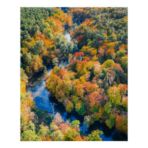 Aerial View of Winding River Sunny Autumn Forest Poster