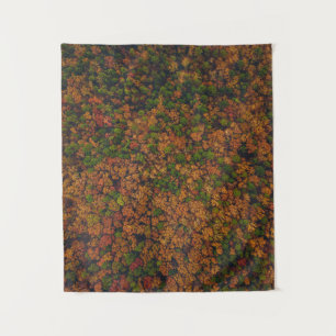 Aerial view photography of forest tapestry