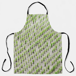 Aerial view photography of rice crops during dayti apron