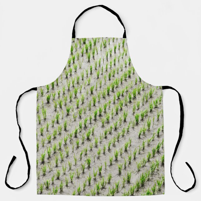 Aerial view photography of rice crops during dayti apron (Front)