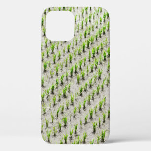 Aerial view photography of rice crops during dayti iPhone 12 case